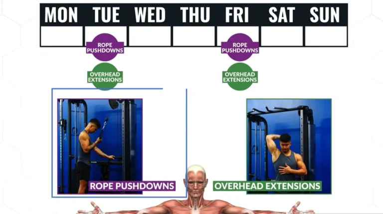 Muscle Building Tips